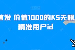 全网首发 价值1000的KS无限采集精准用户id