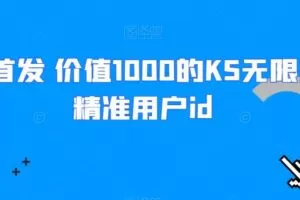 全网首发 价值1000的KS无限采集精准用户id