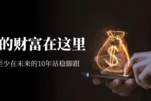 某收费文章《未来的财富在这里》能让你至少在未来的10年站稳脚跟