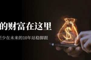 某收费文章《未来的财富在这里》能让你至少在未来的10年站稳脚跟