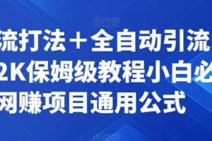 截流打法＋全自动引流日入2K保姆级教程小白必做，附项目通用公式【揭秘】