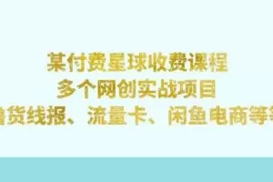 某付费星球课程：多个网创实战项目，撸货线报、流量卡、闲鱼电商等（文档非视频）