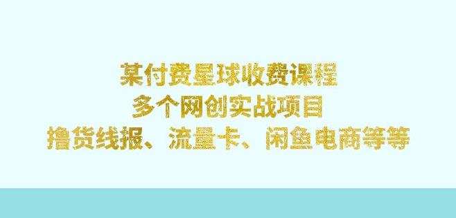 某付费星球课程：多个网创实战项目，撸货线报、流量卡、闲鱼电商等（文档非视频）