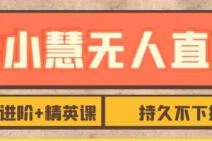 张小慧无人直播精英课，基础+进阶+精英课，持久不下播