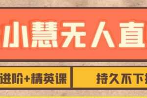 张小慧无人直播精英课，基础+进阶+精英课，持久不下播