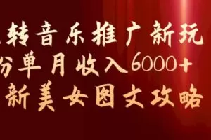 玩转音乐推广新玩法，0粉单月收入6000+，最新美女图文攻略【揭秘】