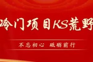 外面卖890元的快手直播荒野求生玩法，比较冷门好做（教程详细+带素材）
