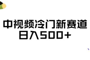 中视频冷门新赛道，做的人少，三天之内必起号，日入500+【揭秘】