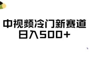 中视频冷门新赛道，做的人少，三天之内必起号，日入500+【揭秘】