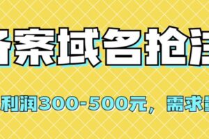 【全网首发】备案域名抢注，一单利润300-500元，需求量大