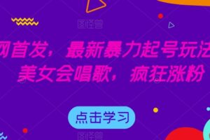 全网首发，最新暴力起号玩法，AI美女会唱歌，疯狂涨粉【揭秘】