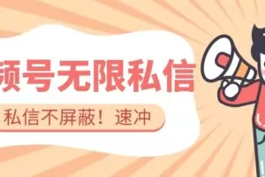 全球首发-视频号无限私信术-直接触达不屏蔽【揭秘】