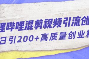 哔哩哔哩B站混剪视频引流创业粉日引300+