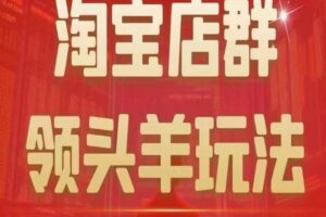 九栢米-淘宝店群领头羊玩法，教你整个淘宝店群领头羊玩法以及精细化/终极蓝海/尾销等内容