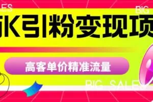 商K引粉变现项目，高客单价精准流量【揭秘】