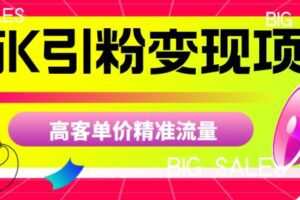 商K引粉变现项目，高客单价精准流量【揭秘】
