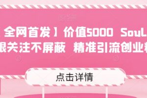 【全网首发】价值5000 Soul无限关注不屏蔽​精准引流创业粉