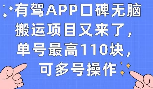 有驾APP口碑无脑搬运项目又来了,单号最高110块,可多号操作
