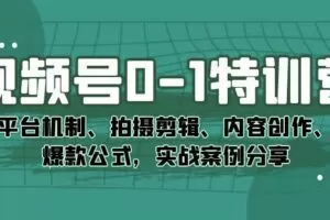 视频号0-1特训营：平台机制、拍摄剪辑、内容创作、爆款公式，实战案例分享