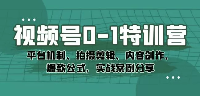 视频号0-1特训营:平台机制、拍摄剪辑、内容创作、爆款公式,实战案例分享