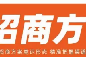 王昕招商方案,解构招商方案意识形态,精准把握渠道代理基本法