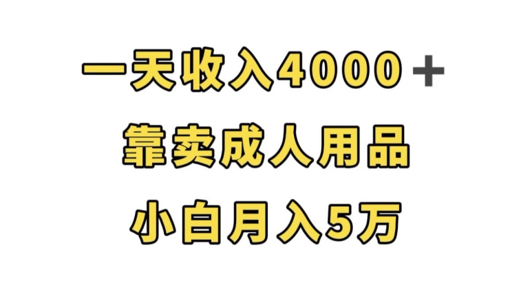 【第6008期】一天收入4000+，靠卖成人用品，小白轻松月入5万【揭秘】