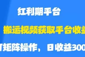 搬运视频获取平台收益，平台红利期，附保姆级教程【揭秘】