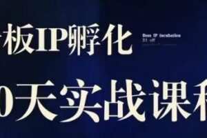 诸葛·2023老板IP实战课，实体同城引流获客，IP孵化必听