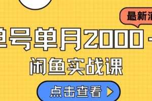 最新闲鱼日入500＋，虚拟资料变现喂饭级讲解