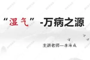 唐海成唐氏古中医：六合除湿疗法一期