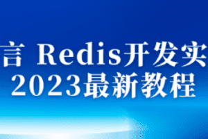 沐言 Redis开发实战 2023最新教程