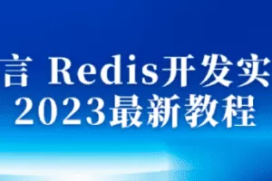 沐言 Redis开发实战 2023最新教程