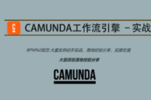 Camunda高级实战培训系列教程