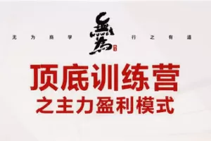 无为：抄底逃顶实战训练营