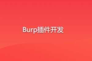 Burp插件开发