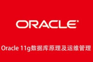 Oracle 11g数据库原理及运维管理