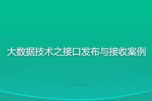 尚硅谷大数据技术之接口发布与接收案例
