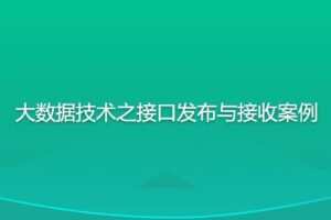 尚硅谷大数据技术之接口发布与接收案例