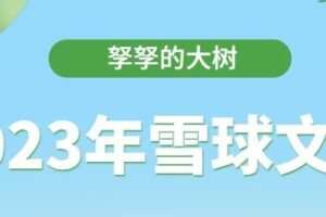 「孥孥的大树」2023年孥孥的大树雪球文档