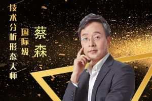 「蔡森」2024年02月会员专享 森财技术宏观 蔡森森财基础+进阶合集