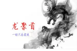 涨停龙高升体系课程 第三期 首板+二板