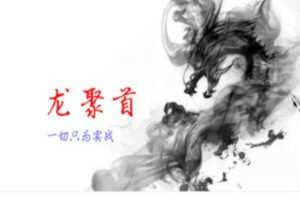 涨停龙高升体系课程 第三期 首板+二板