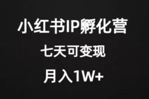 价值2000+的小红书IP孵化营项目，超级大蓝海，七天即可开始变现，稳定月入1W+