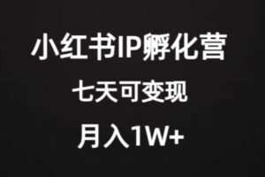 价值2000+的小红书IP孵化营项目，超级大蓝海，七天即可开始变现，稳定月入1W+
