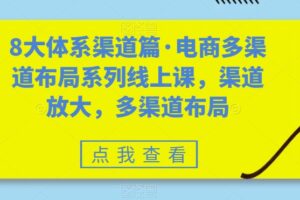 8大体系渠道篇·电商多渠道布局系列线上课，渠道放大，多渠道布局