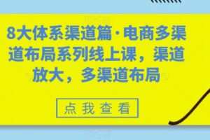 8大体系渠道篇·电商多渠道布局系列线上课，渠道放大，多渠道布局