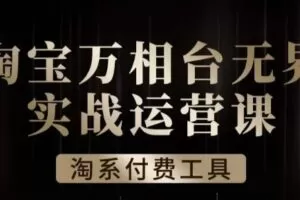 沧海·淘系万相台无界实战运营课，万相台无界实操全案例解析