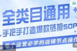 单品爆款打造实操运营，单品爆款从“0”-“1”手把手演练运营步骤