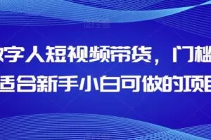 AI数字人短视频带货，门槛低，适合新手小白可做的项目