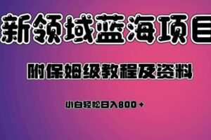 虚拟资源蓝海领域新项目，轻松日入800＋，附保姆级教程及资料